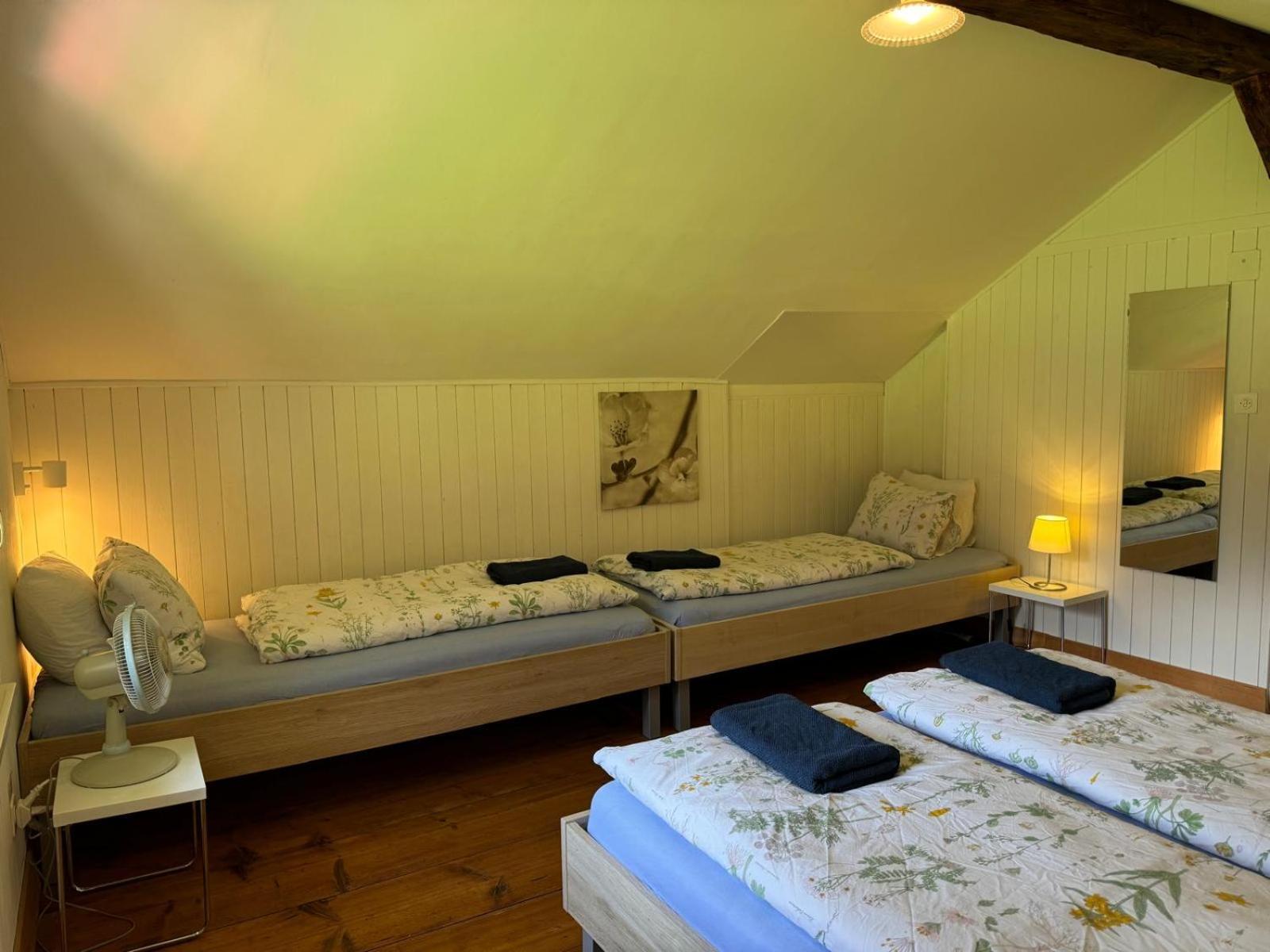 Waterfall Chalet Stechelberg Εξωτερικό φωτογραφία